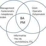 business analysis a vállalati munkamegosztásban