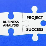 business analysis vs project success