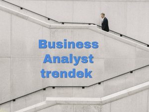 business analyst trendek